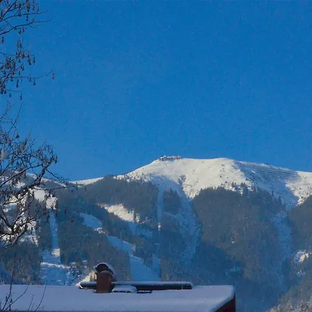 Alpenbach - By Alpen * 젤암제